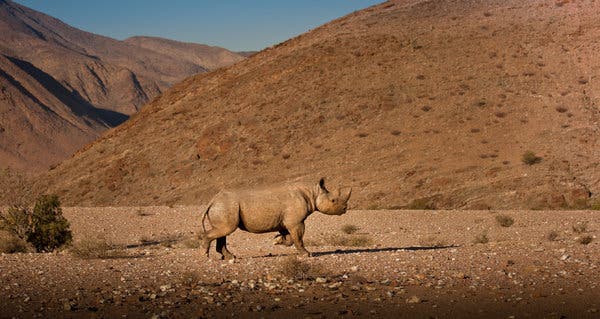 The Milky Way stretches across the Namibian night sky, captured during an astrophotography tour.