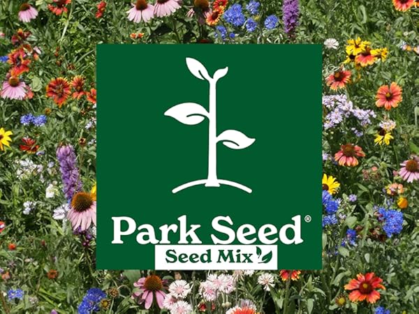 Craft a Buzzworthy Garden: PNW Pollinator Plant...