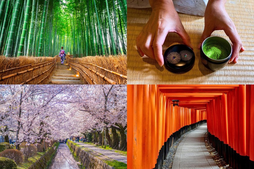 Kiyomizu-dera Temple during cherry blossom season
