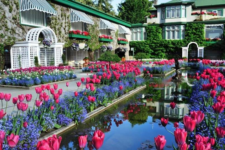 Manicured beauty of Butchart Gardens with colourful flower arrangements and peaceful waterways