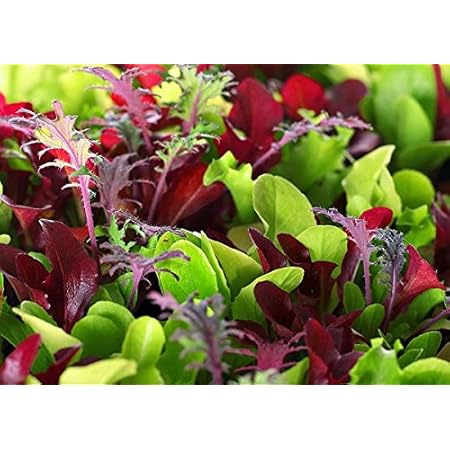 An example of seed starting supplies