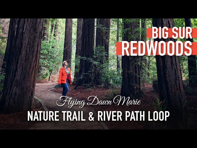 Family playing in the Big Sur River
