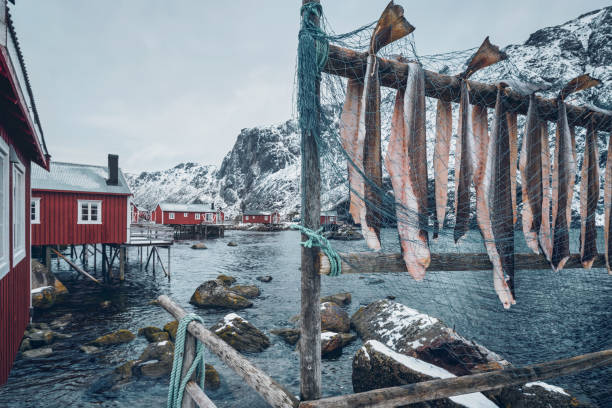 An image of people ice fishing on a frozen fjord, with colorful fishing equipment.