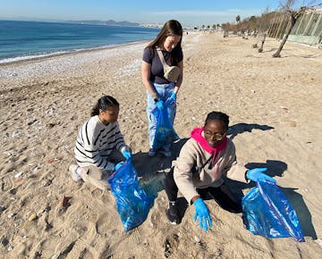 Treetops Lodge & Estate in Raglan, New Zealand, nestled amidst lush native forests