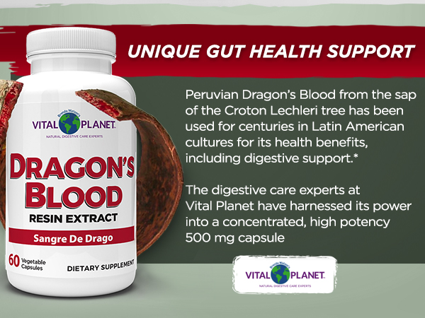 Close-up shot of Sangre de Grado resin being extracted from a tree