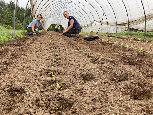 Beyond Organic: Designing a Regenerative Garden...