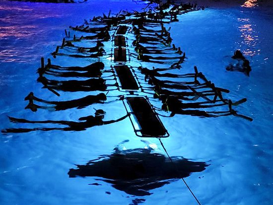 Divers swimming near a whale shark in Donsol, Philippines
