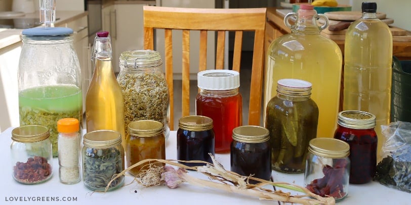 Dehydrated tomatoes and herbs arranged artfully in a mason jar, emphasizing their color and texture.