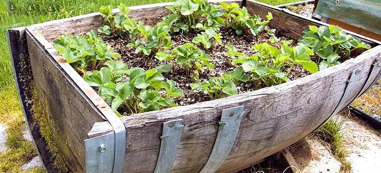 Tiered Garden Structure