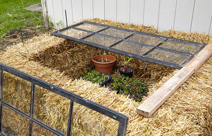 Simple DIY cold frame from repurposed windows