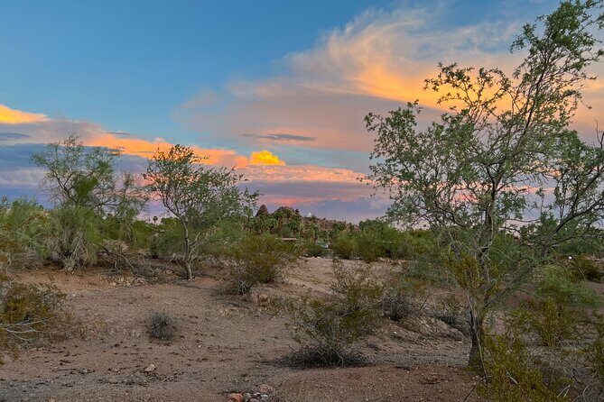 Sunset over the Sonoran Desert