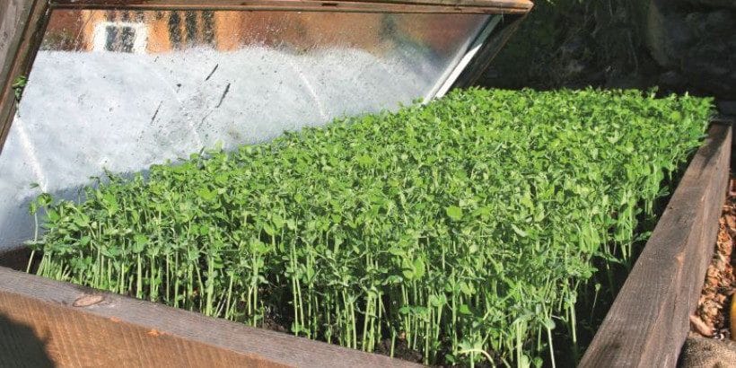 From Dust Bowl to Bountiful: Regenerative Farmi...