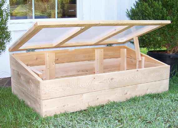Another angle of plants inside of a cold frame