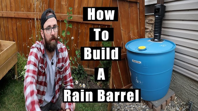 Rain Water Harvesting