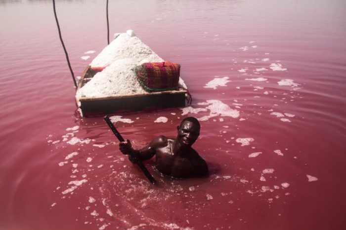 Kayaking through mangroves in Saloum Delta