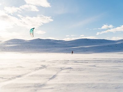 Fjord Horse Pulling Skier in Norway