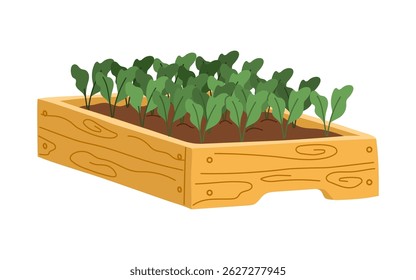 Raised Garden Bed with Squash