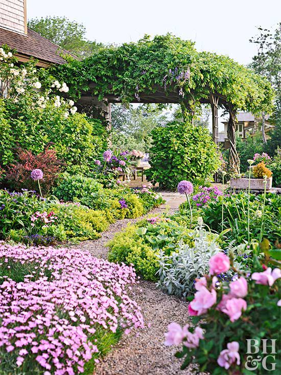 close-up, thriving herb garden with lush green rosemary, oregano, and thyme plants, bright sunlight, healthy growth, focus on plant foliage.