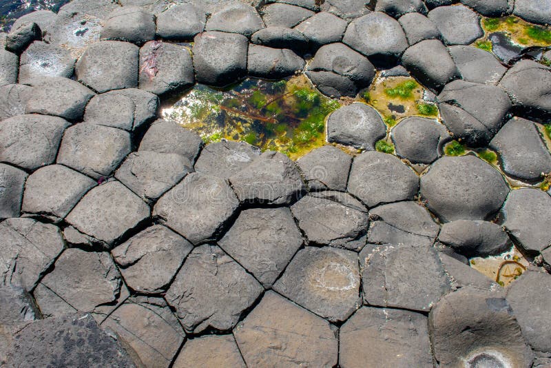 Giant's Causeway basalt columns showcasing the unique hexagonal shapes and overall landscape