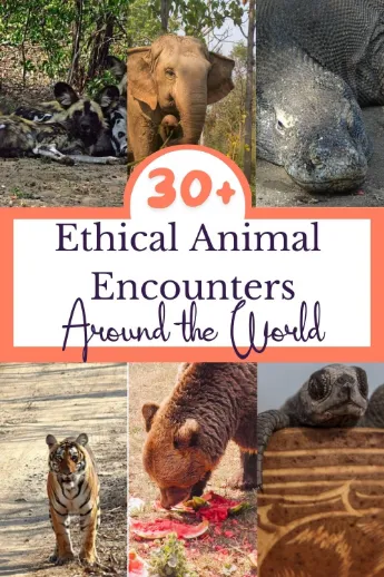 # Sustainable Sea Adventures: Luxury Travel for th...