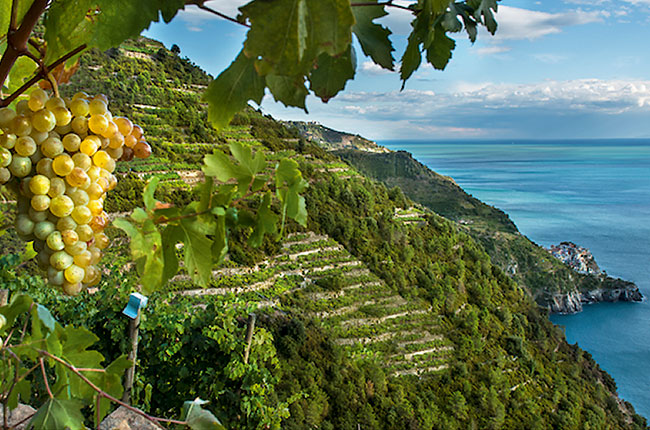 ## Cinque Terre: Finding Myself (and Inspiration)...