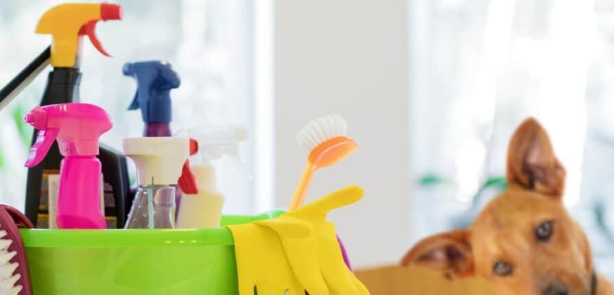 Group of cheerful cleaning service staff
