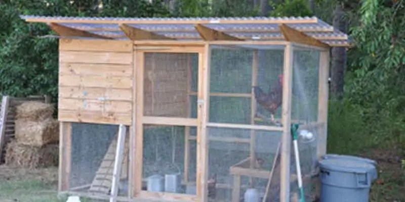 The cost of homesteading
