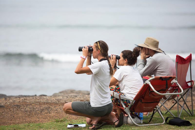 Maori guide teaching sustainable foraging techniques