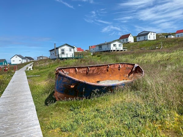A loaf of freshly baked bread made during the workshop.