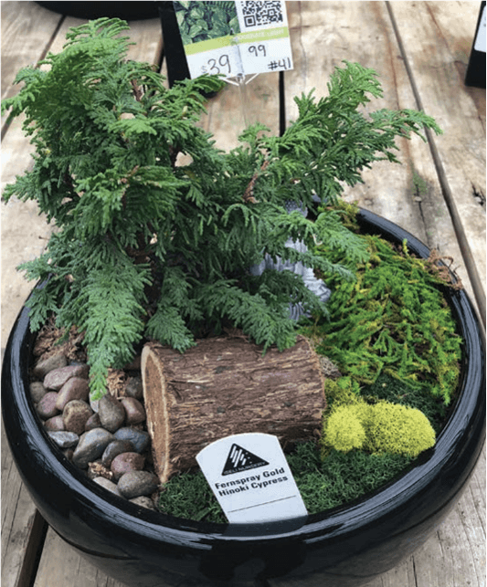 A fairy garden with a miniature fairy house, a stone pathway, and various plants.