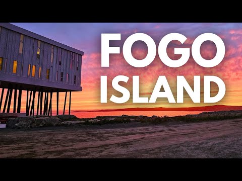 A wide shot showcasing Fogo Island Inn's modern architectural design with expansive windows and open spaces, overlooking the iceberg-filled North Atlantic ocean.