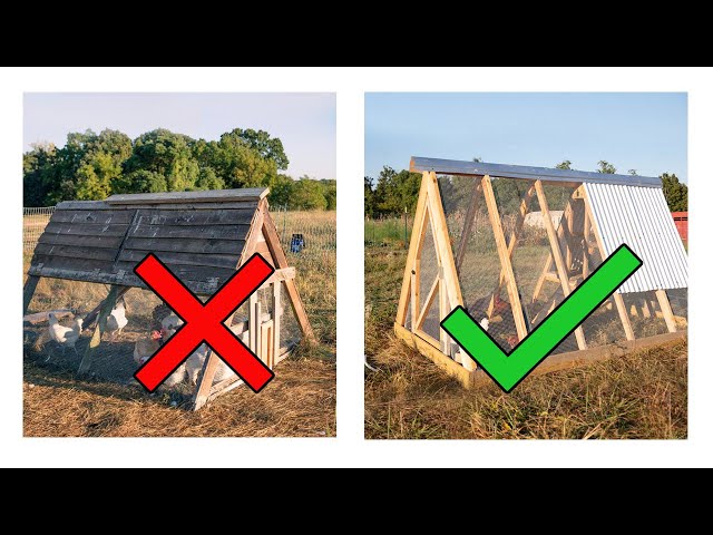 Chicken coop frame