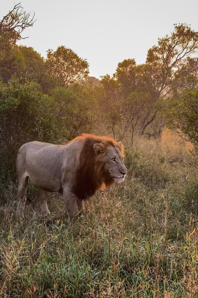 Children in Huntington Primary School supported by Singita