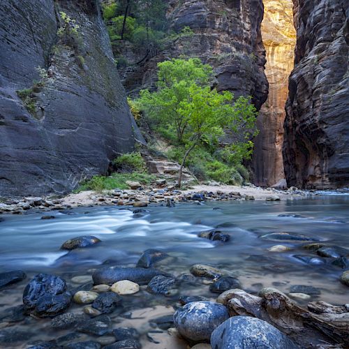 # Zion National Park: An Eco-Conscious Traveler's...