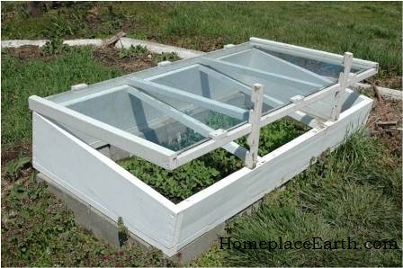 Image of a cold frame with its lid slightly ajar for ventilation