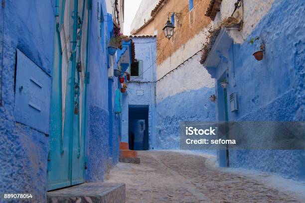 A narrow alleyway in Chefchaouen, Morocco, showcasing the city's iconic blue-washed buildings, with a cat sitting on a doorstep and diffused sunlight creating a vibrant yet serene atmosphere.