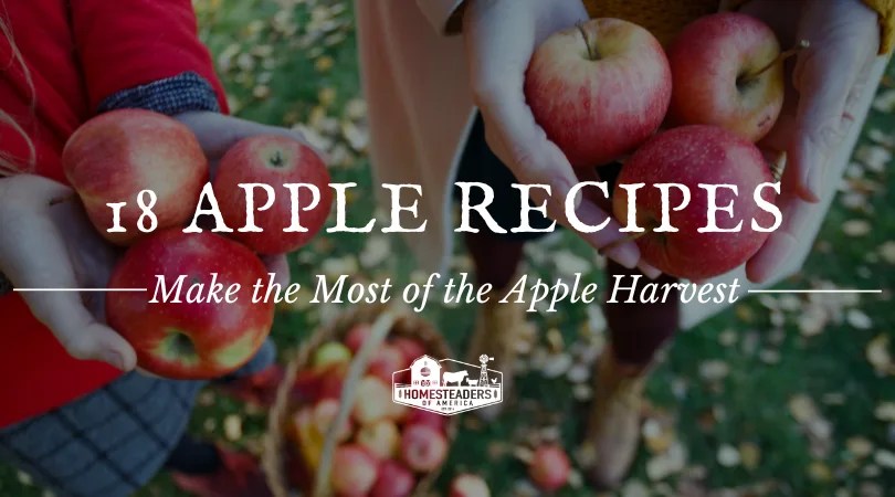 Apple Recipes