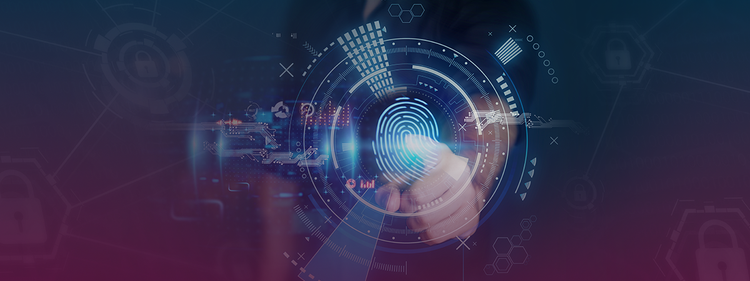 Building authority through consistent content creation