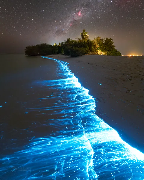 The shoreline of Jervis Bay glowing with bioluminescent plankton at night.