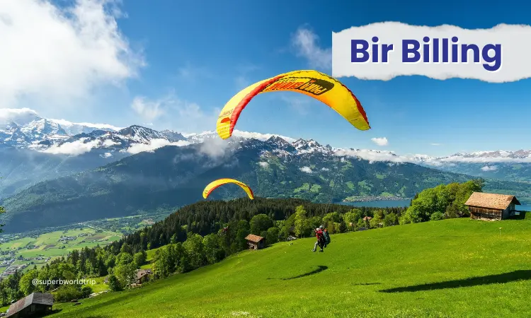 A hiker with colorful winter gear, viewed from behind, capturing the vast panorama of the Jungfrau peaks under a clear, bright blue sky. The foreground includes a crisp, untouched snowdrift.