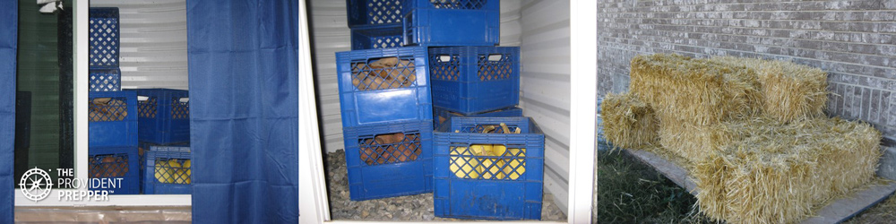 Window-Well-Cold-Storage-Root-Cellar-Copyright-Your-Family-Ark-LLC