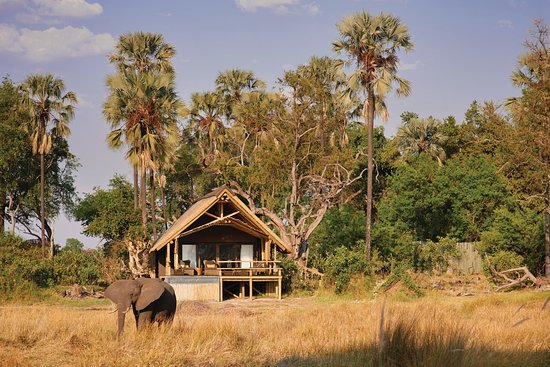 ## Lost in Paradise: A Luxurious Escape to Botswan...