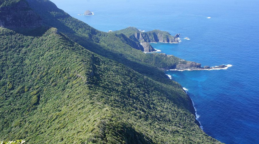 # Lord Howe Island: A Marine Biologist's Perspecti...
