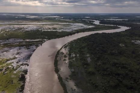 An image of an ocelot captured during a night safari in the Pantanal. The photo showcases the animal's striking spotted coat and nocturnal behavior. High ISO settings were used and noise reduction applied in post-processing.