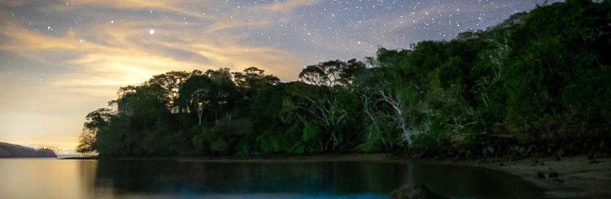 People floating effortlessly in the Dead Sea, covered in mud. Alt text: Visitors enjoying the therapeutic mud and buoyancy of the Dead Sea, known for its skin-healing properties and high salt concentration.