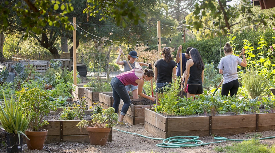Gardening