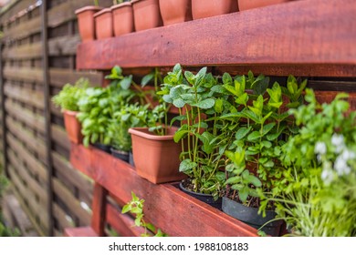 Woman watering vertical garden smiling