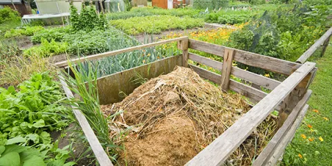 From Trash to Treasure: Mastering Kitchen Scrap...