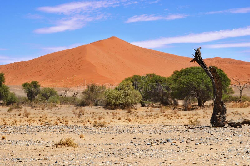 Sunrise over the otherworldly landscape of Deadvlei. A sight that will stay with me forever.
