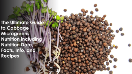 close-up hands cutting fresh microgreens scissors